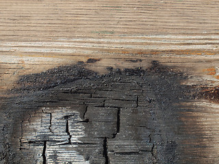 Image showing Burned wood