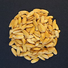 Image showing Melon seeds