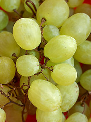 Image showing Grape picture