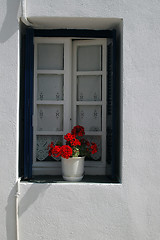 Image showing window with geranium