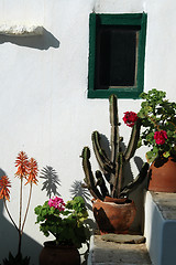 Image showing stairs with plants