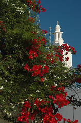 Image showing flowering tree and greek church