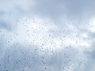 Image showing Rain droplets