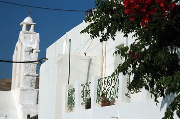 Image showing greek architecture with flowers