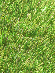 Image showing Artificial grass