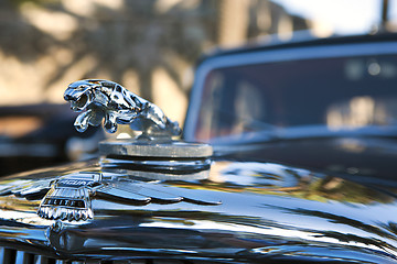 Image showing Classic car, Jaguar