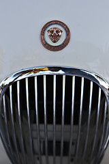 Image showing Classic car, Jaguar