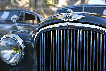 Image showing Classic car, Jaguar