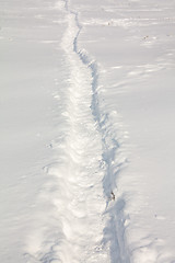 Image showing Traces on snow