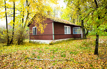 Image showing house in wood (autumn)