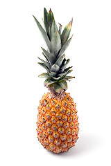 Image showing Pineapple isolated against white background