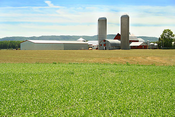 Image showing green field and farm