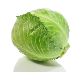 Image showing cabbage