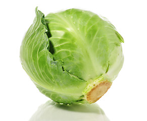 Image showing cabbage