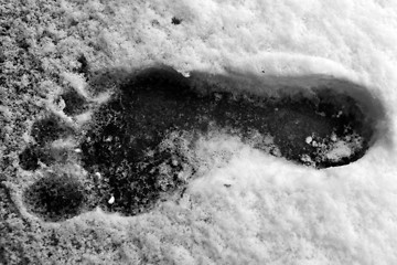 Image showing Footstep in snow