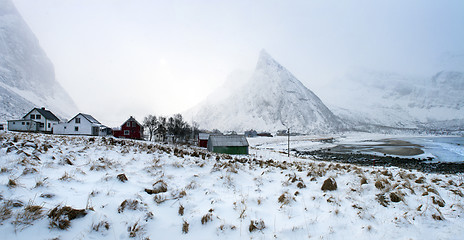 Image showing Fjord and mountainous scenery in winter from Senja, North Norway