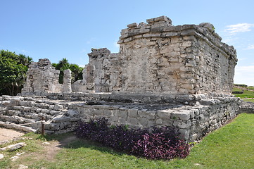 Image showing Tulum Mayan Ruins