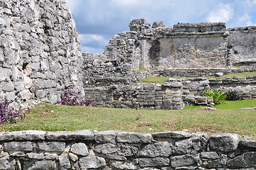 Image showing Tulum Mayan Ruins