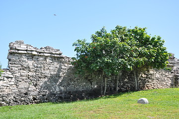 Image showing Tulum Mayan Ruins