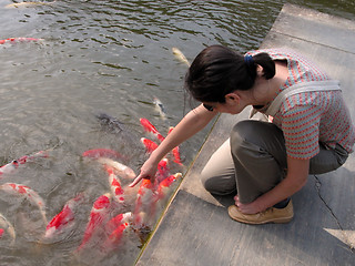 Image showing Enjoying the carps