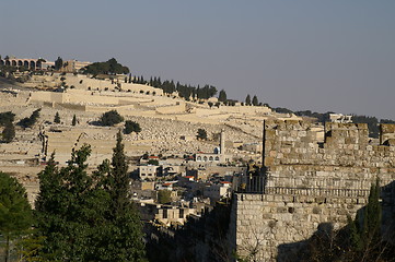 Image showing Olive mount in Jerusalem