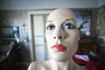 Image showing mannequin