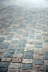 Image showing Flag stone path