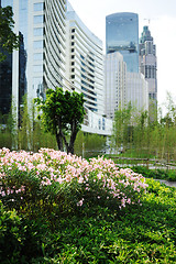 Image showing Flowers before modern buildings background