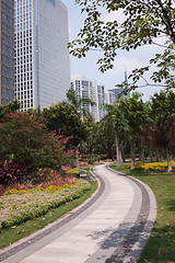 Image showing Road in garden