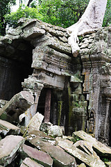 Image showing Ta Prohm temple, Angkor, Cambodia