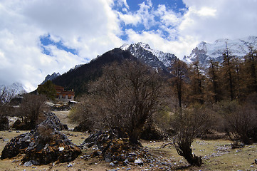 Image showing Tibetan mani stones by snow mountain