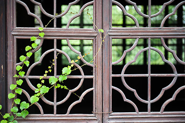 Image showing Chinese wooden window with green plant