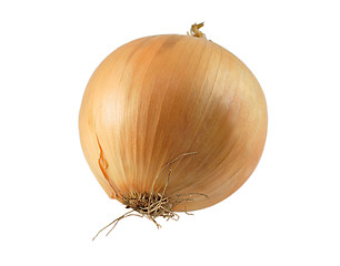 Image showing onion