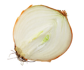 Image showing onion