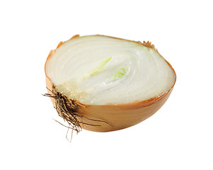 Image showing onion