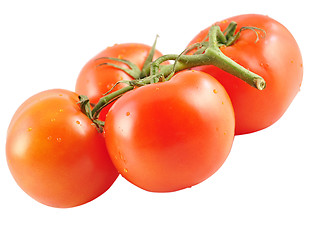 Image showing tomatoes