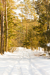 Image showing Rural road (winter)