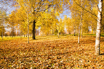 Image showing Autumn in park