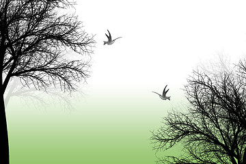 Image showing Trees and birds