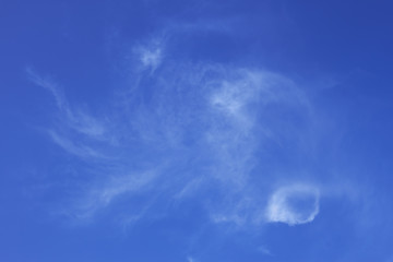 Image showing White easy clouds