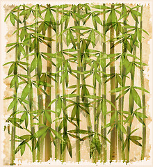 Image showing vintage illustration of the bamboo forest