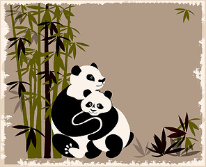 Image showing pandas family in the bamboo forest