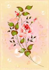 Image showing sparkling rose for greeting card