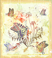 Image showing background with butterflies and flowers