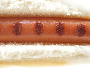 Image showing hot dog