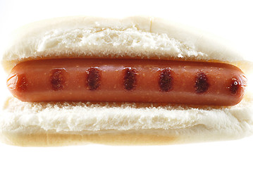 Image showing hot dog