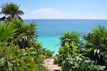 Image showing Tulum Beach