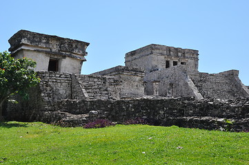 Image showing Tulum Mayan Ruins