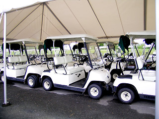 Image showing Golf Carts
