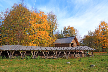 Image showing autumn tree near old barn